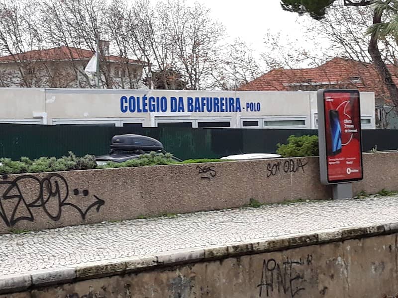 Foto 7